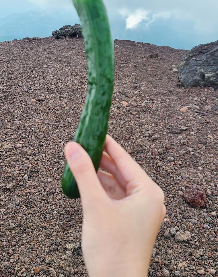 山頂でキュウリの一本漬け